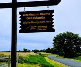 washington county grasslands wildlife management area