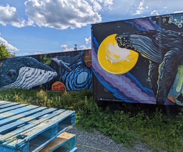 whale murals at the shirt factory in glens falls