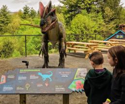 dino roar valley at lake george expedition park exhibit with kids looking at dinosaur