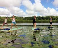 four people doing sup yoga on lily pad covered water
