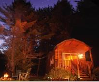 cabin at night time