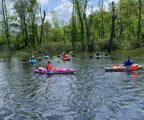 people in kayaks in a lake