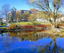 Congress Park, Saratoga Springs 