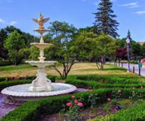 fountain in a park