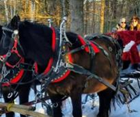 sleigh ride lake george