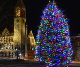 large christmas tree decorated outside city buildings