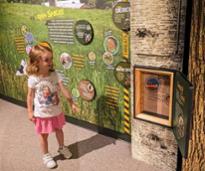 little girl at new york state museum