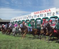 horses racing on turf