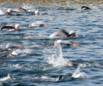 swimmers in a race on a lake