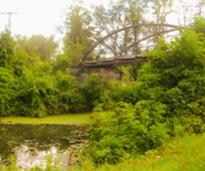 bridge in vischer ferry nature preserve