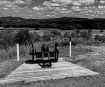 black and white image of cannon on saratoga battlefield