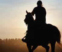 sunrise horse workout