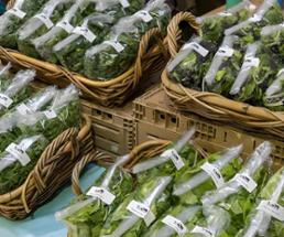 fresh greens at farmers market