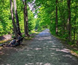 walking path by canal