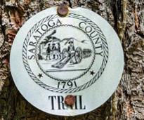 saratoga county trailmarker on tree