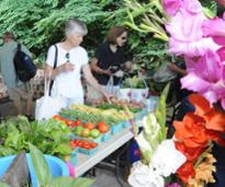 market shoppers