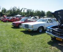 a row of classic cars for a show outdoors