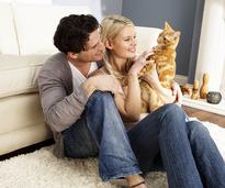 Couple with cat
