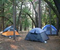 three camping tents in the woods