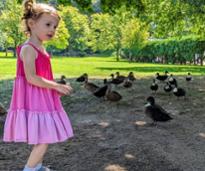 little girl with ducks in congress park