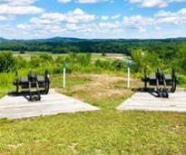 two historic cannons