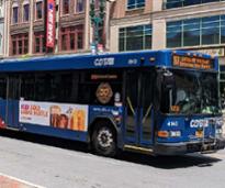 blue CDTA bus