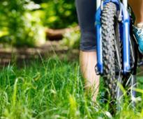 mountain bike