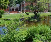 public park
