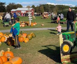 people walking by pumpkins