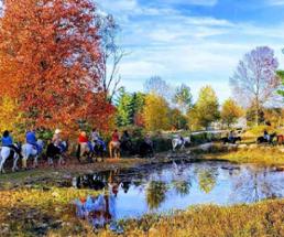 people horseback riding into woods during fall