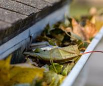 house gutter with leaves