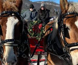 horse drawn carriage ride