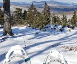 snowshoes in snow