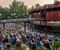 spac crowd on lawn