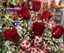 red roses