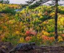 fall foliage view from mountain