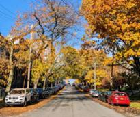 street in fall