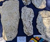 bigfoot footprints in plaster
