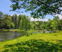 Crandall Park