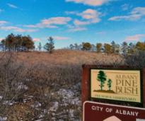 albany pine bush sign in winter