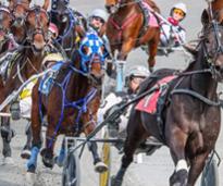 a harness race