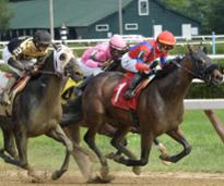 horses racing on a dirt track
