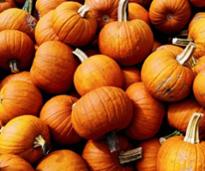 pie pumpkins