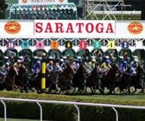 starting gate at saratoga race course