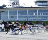 harness racing