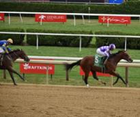 a horse racing on a dirt track