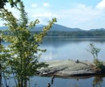 pond or lake