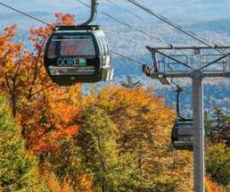 gore gondola among foliage