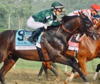 horse racing at the belmont