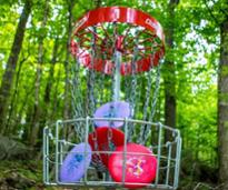Disk Golf Net Filled With Disks